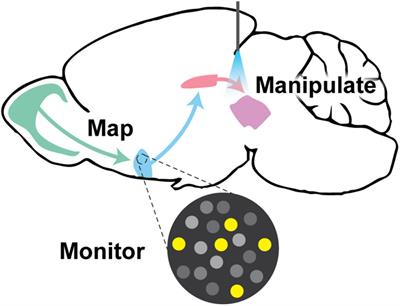 Advancements in the Quest to Map, Monitor, and Manipulate Neural Circuitry